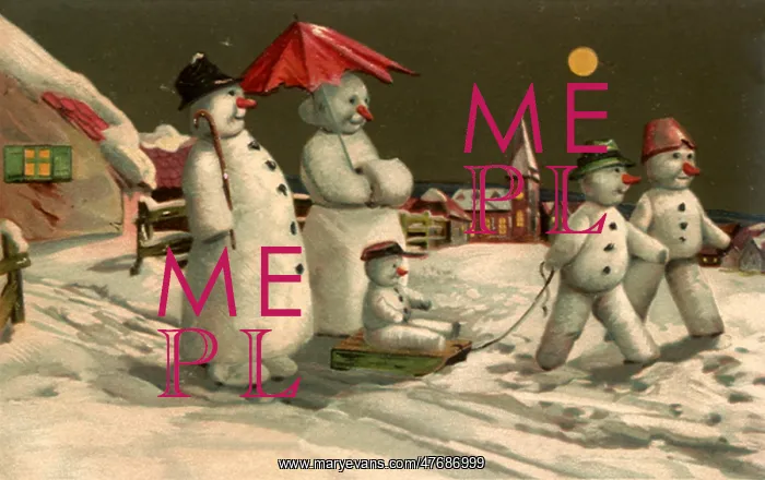  : Snowfamily