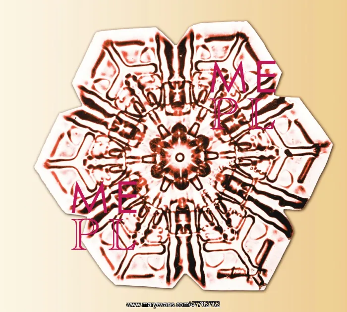 : Snowflake. Color enhanced photograph of a snowflake : Snowflake. Color enhanced photograph of a snowflake