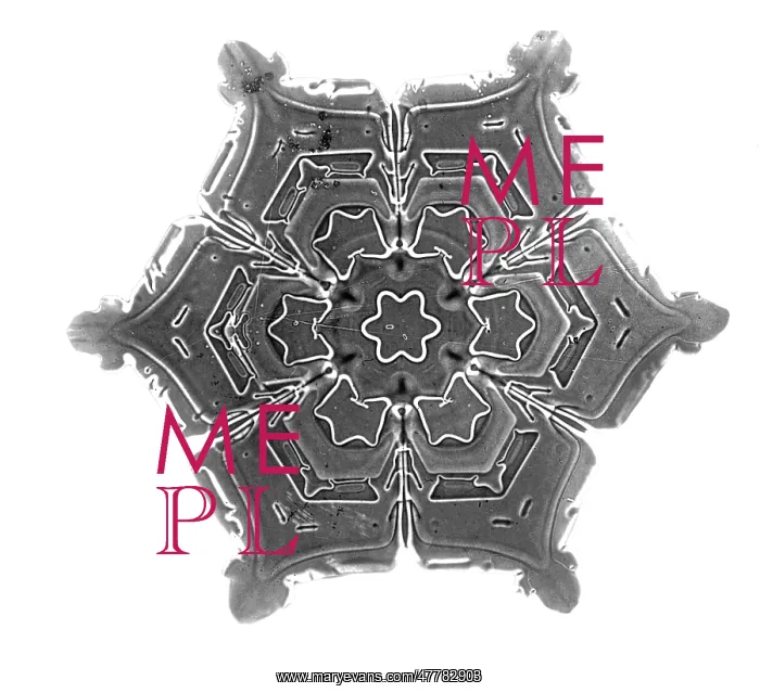 : Snowflake. Color enhanced photograph of a snowflake (negative) : Snowflake. Color enhanced photograph of a snowflake (negative)