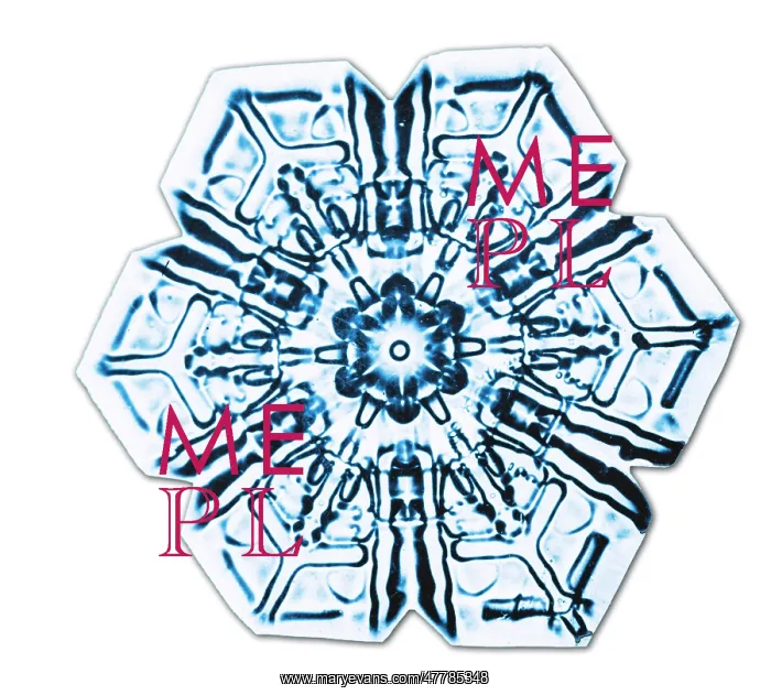 : Snowflake. Color enhanced photograph of a snowflake : Snowflake. Color enhanced photograph of a snowflake