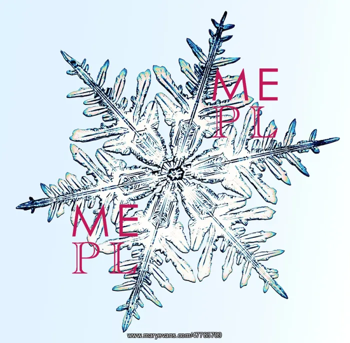 : Snowflake. Color enhanced photograph of a snowflake : Snowflake. Color enhanced photograph of a snowflake