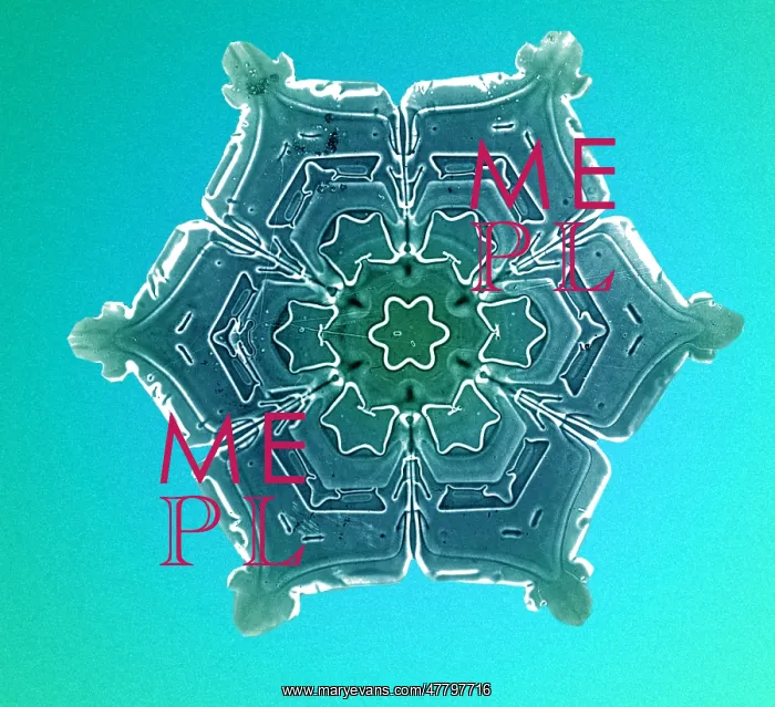 : Snowflake. Color enhanced photograph of a snowflake (negative) : Snowflake. Color enhanced photograph of a snowflake (negative)