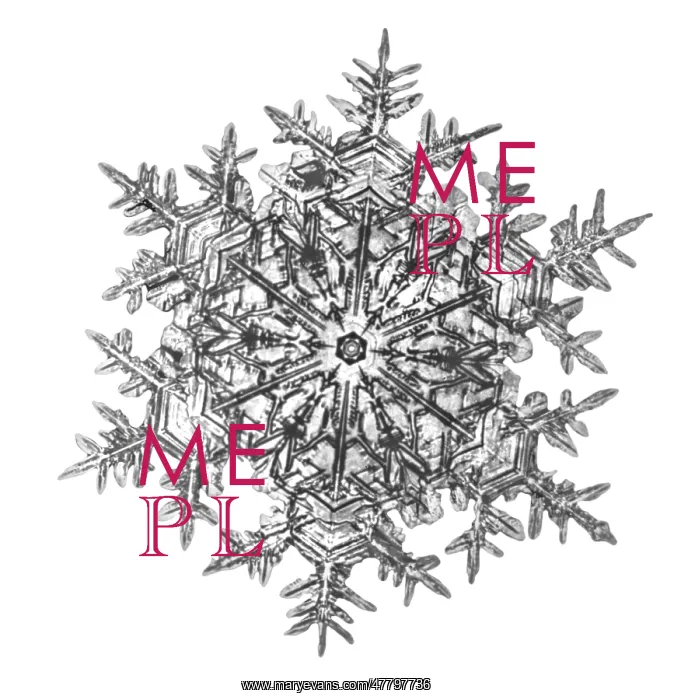 : Snowflake. Color enhanced photograph of a snowflake (positive) : Snowflake. Color enhanced photograph of a snowflake (positive)