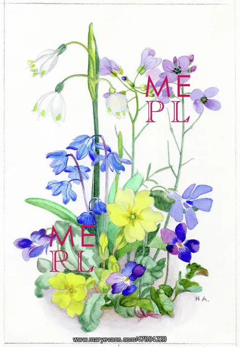 : Snowflakes, primroses, violets etc : Snowflakes, primroses, violets etc