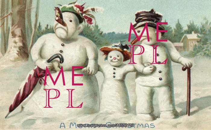 : The Snowman family : The Snowman family