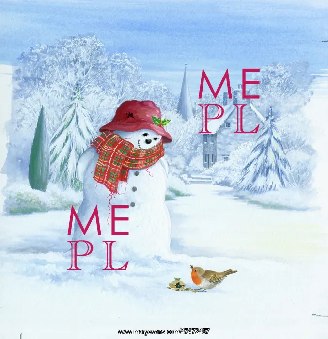  : Snowman watching robin