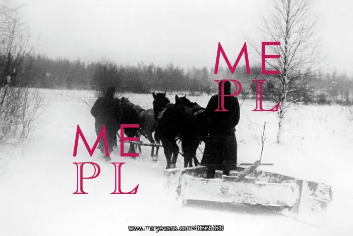: Snowplow on the Eastern Front, 1942 : Snowplow on the Eastern Front, 1942