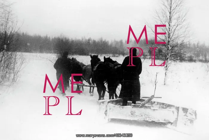 : Snowplow on the Eastern Front, 1942 : Snowplow on the Eastern Front, 1942