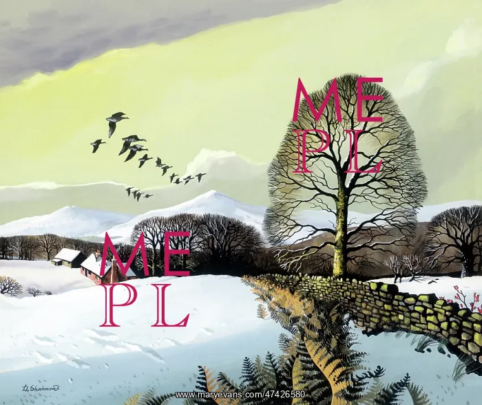 : Snowscene - with geese flying, stone wall and bracken in forground : Snowscene - with geese flying, stone wall and bracken in forground