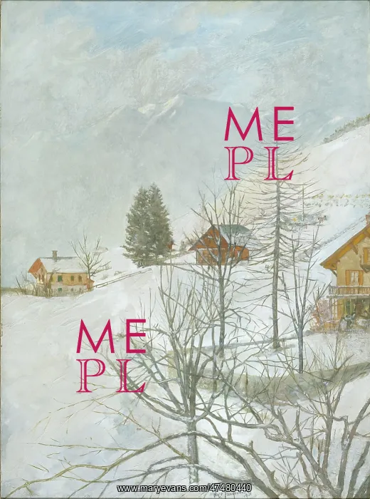 : Snowscene in the Alps : Snowscene in the Alps