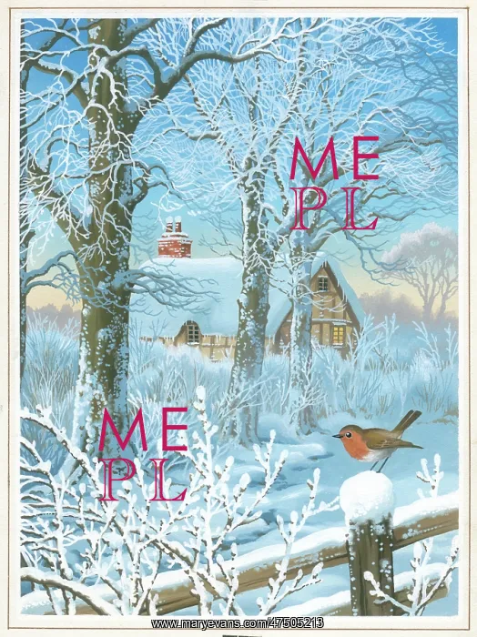 : Snowscene with cottage, trees and robin : Snowscene with cottage, trees and robin