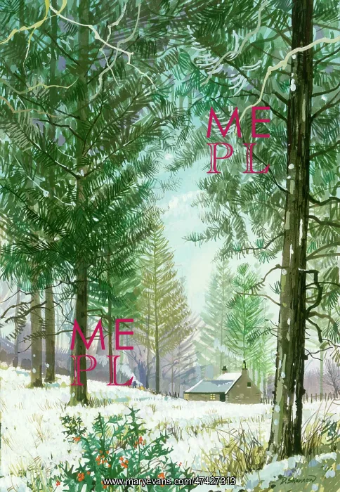 : Snowscene with Fir Trees : Snowscene with Fir Trees