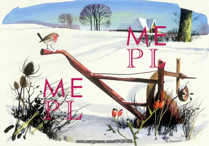 : Snowscene with Robin on Plough : Snowscene with Robin on Plough
