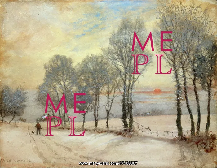 : Snowscene with setting sun : Snowscene with setting sun