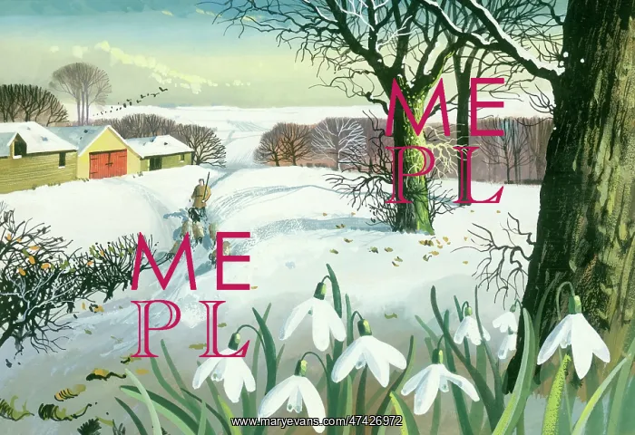 : Snowscene with Snowdrops in Foreground : Snowscene with Snowdrops in Foreground