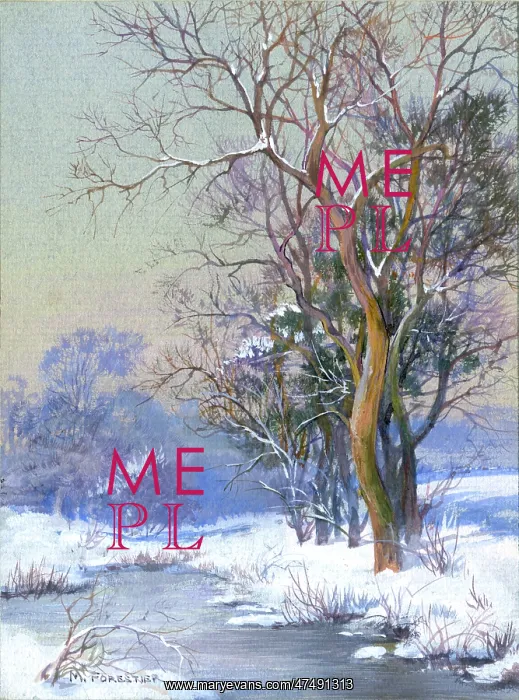  : Snowscene with trees by a river