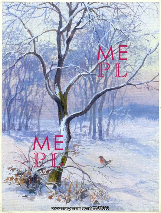  : Snowscene with trees and robin