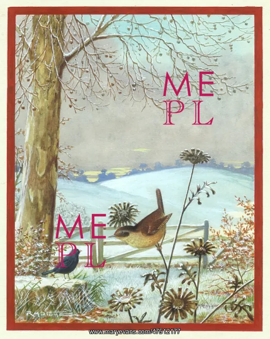 : Snowscene with wren on knapweed : Snowscene with wren on knapweed
