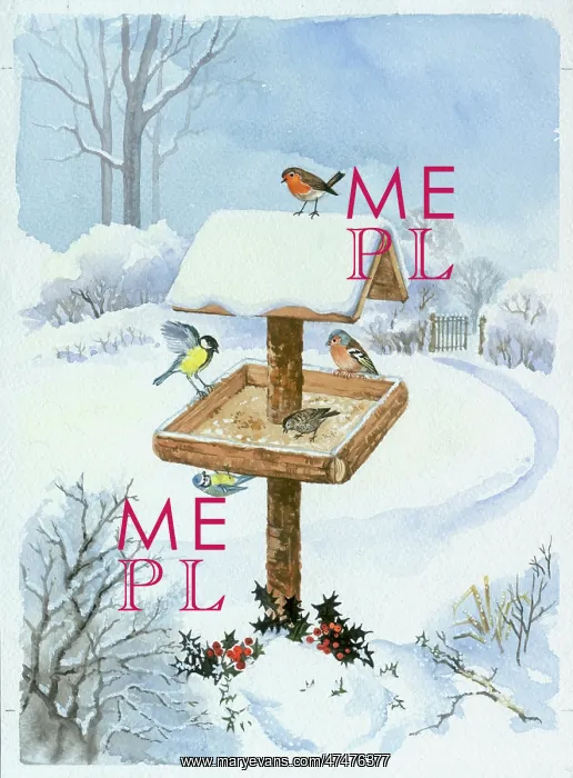 : Snowy Bird table ? with robin, tits etc : Snowy Bird table ? with robin, tits etc