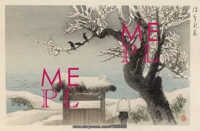 : Snowy Japanese scene : Snowy Japanese scene