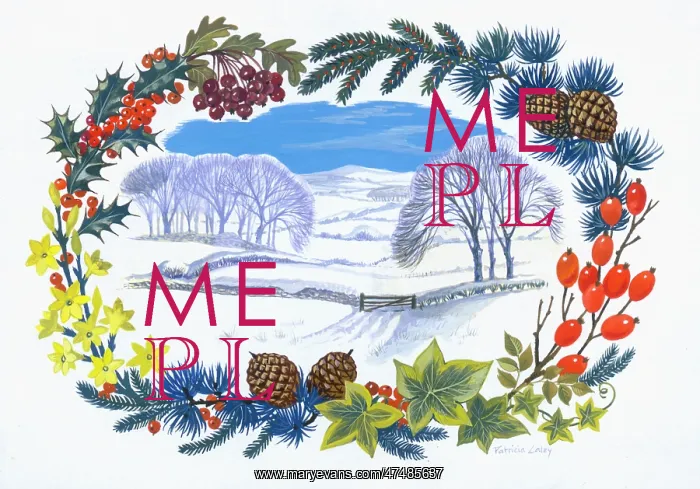  : Snowy landscape in a border