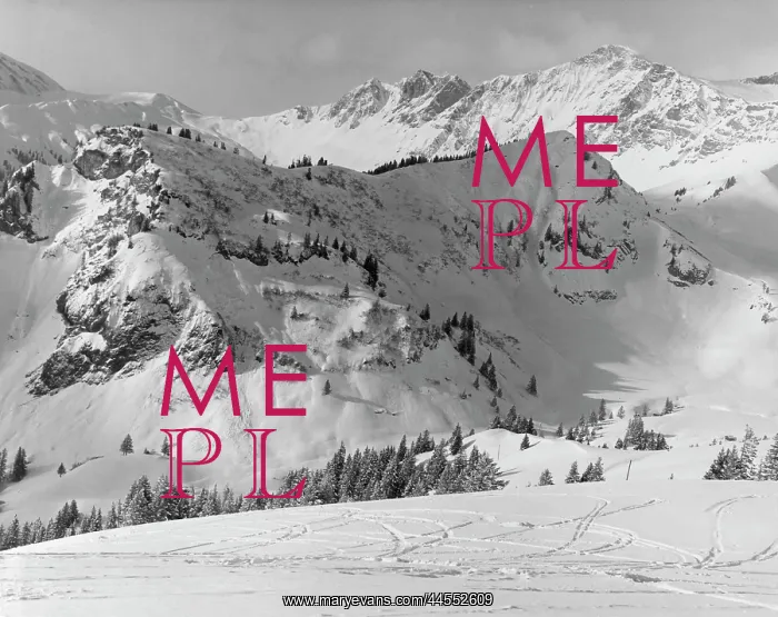  : SNOWY MOUNTAINS