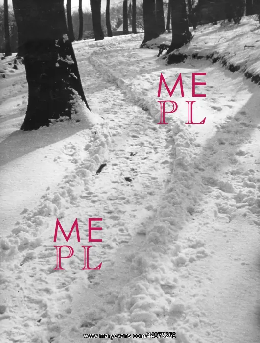 : SNOWY PARK : SNOWY PARK