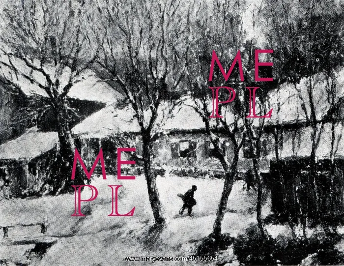 : Snowy scene : Snowy scene