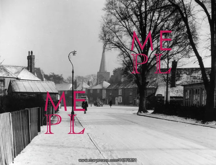: SNOWY TARRING : SNOWY TARRING