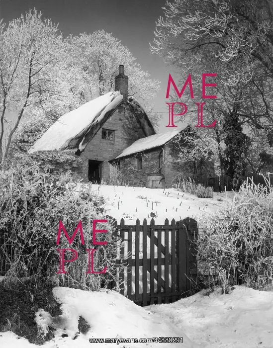 : SNOWY THATCHED COTTAGE : SNOWY THATCHED COTTAGE