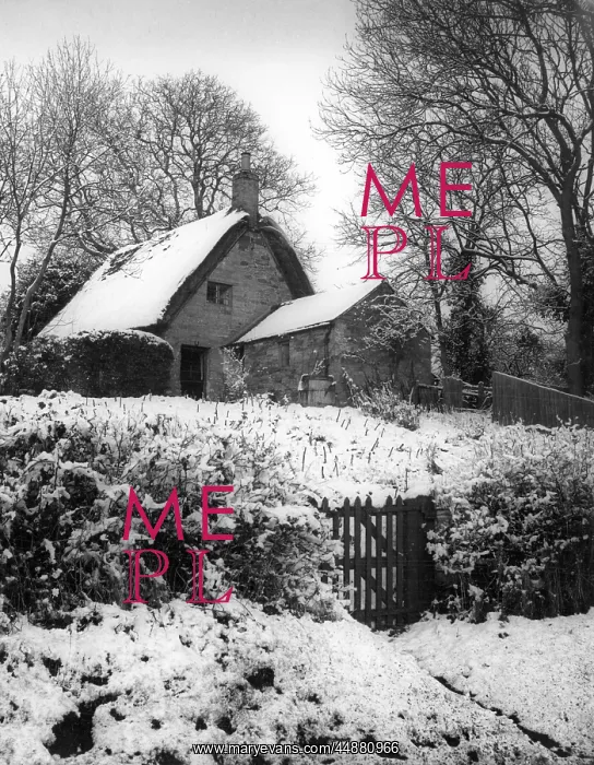 : SNOWY THATCHED COTTAGE : SNOWY THATCHED COTTAGE