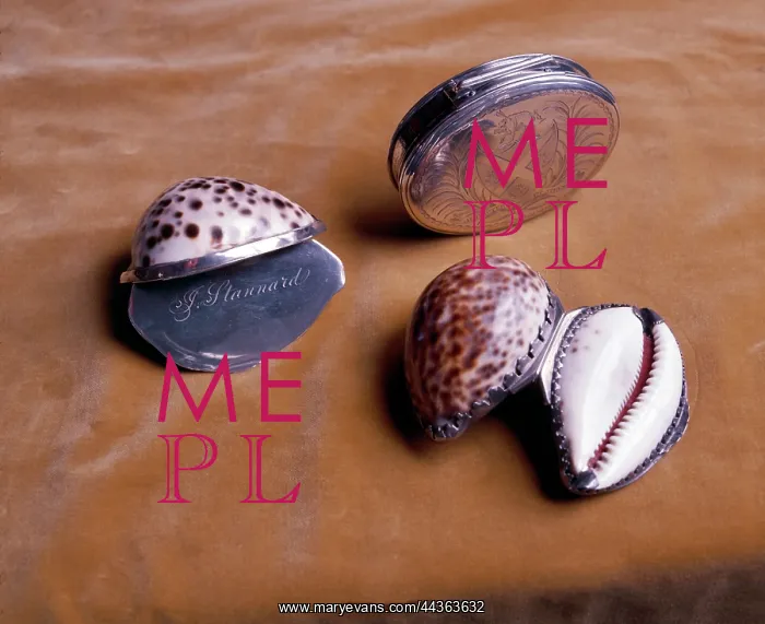 : Snuff boxes : Snuff boxes
