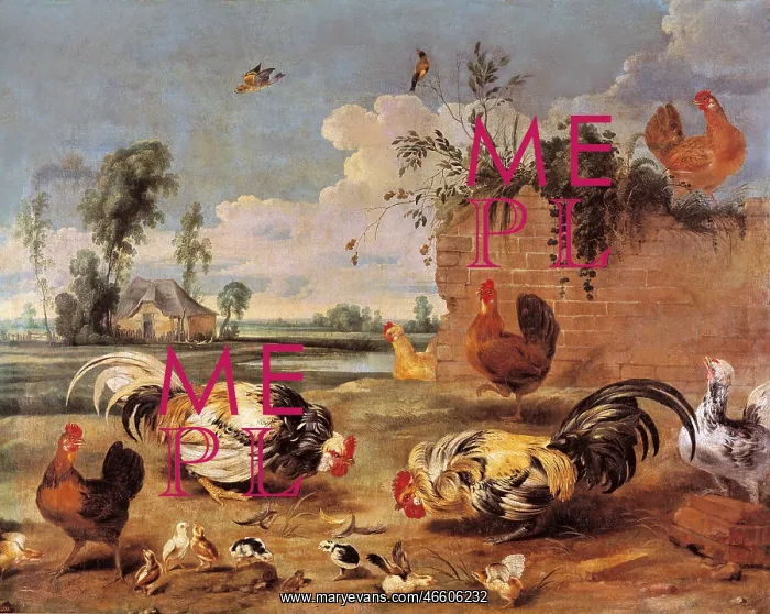 : Snyders, Frans (1579-1657) : Snyders, Frans (1579-1657)