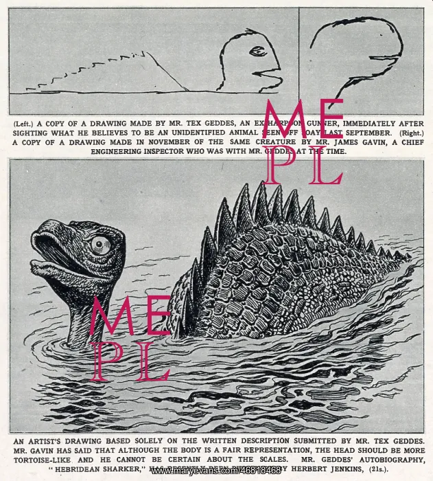 : Soay Sea Monster : Soay Sea Monster
