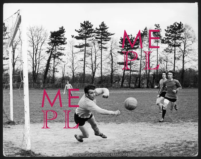 : SOCCER GOALIE DIVING : SOCCER GOALIE DIVING