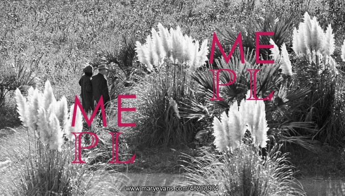 : Sochi arboretum, 1968 : Sochi arboretum, 1968