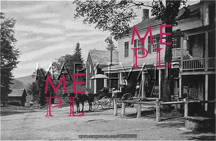 : SOCIAL / BERKSHIRES STORE : SOCIAL / BERKSHIRES STORE