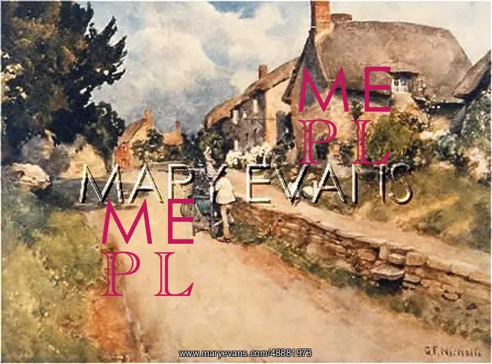  : SOCIAL / BRITAIN / RURAL / C20