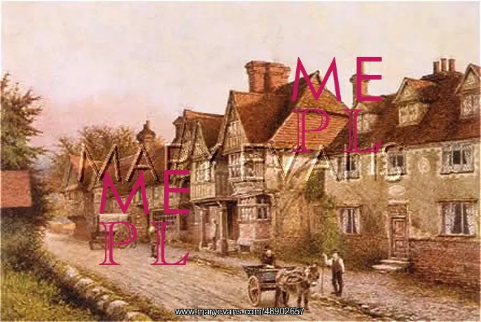  : SOCIAL / CHIDDINGSTONE