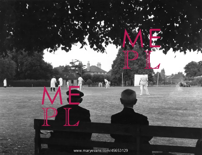  : SOCIAL / CRICKET / KENT