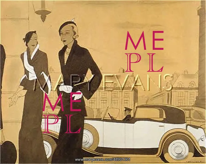 : SOCIAL / ELEGANT LECOMTE : SOCIAL / ELEGANT LECOMTE