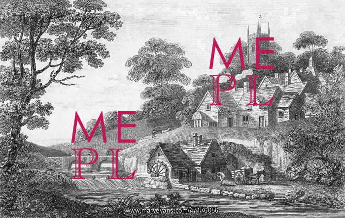 : SOCIAL / ENGLISH RIVER 19C : SOCIAL / ENGLISH RIVER 19C