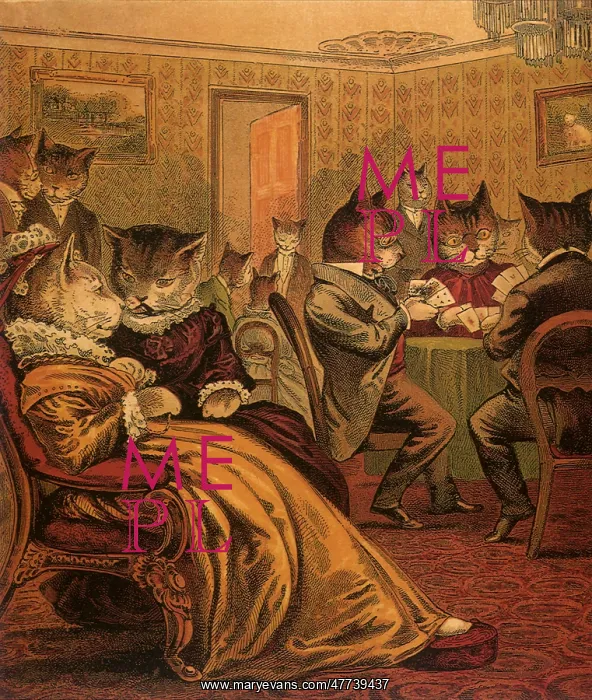  : Social Gathering of Cats
