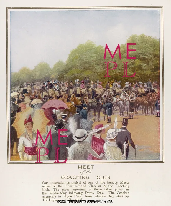 : SOCIAL / HYDE PARK CLUB : SOCIAL / HYDE PARK CLUB