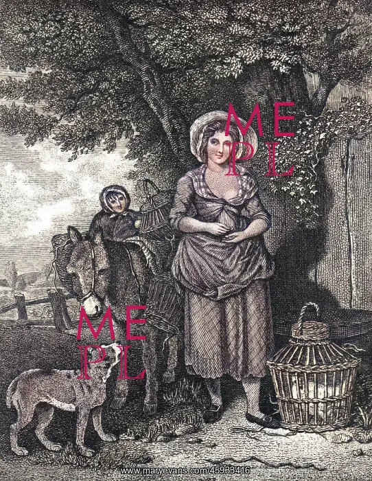 : SOCIAL / MARKET RETURN 18C : SOCIAL / MARKET RETURN 18C