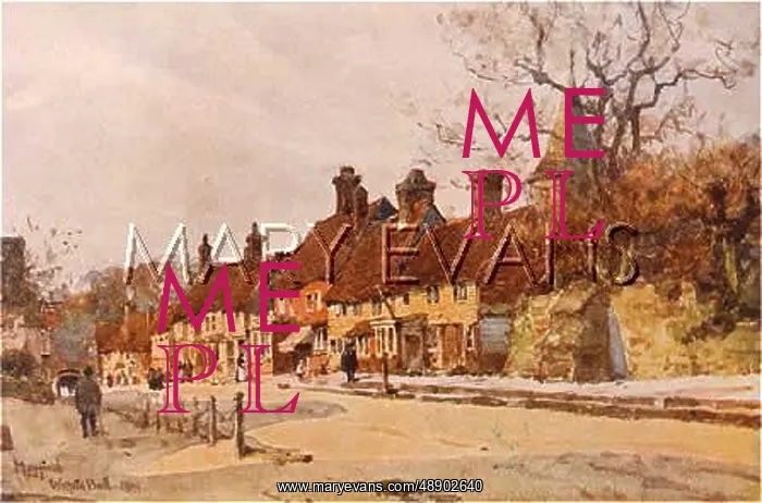  : SOCIAL / MAYFIELD VILLAGE