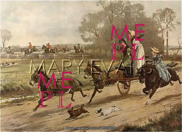 : SOCIAL / NIMROD'S DAUGHTER : SOCIAL / NIMROD'S DAUGHTER