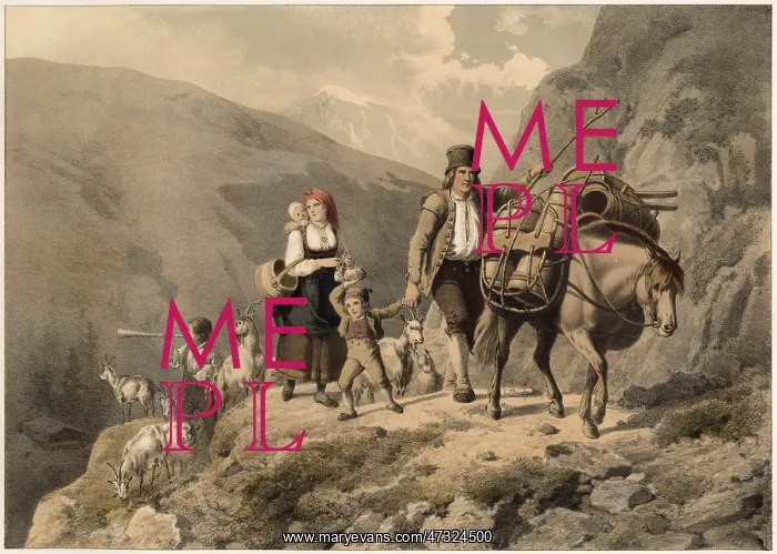: SOCIAL / NORWAY GOATS 19C : SOCIAL / NORWAY GOATS 19C
