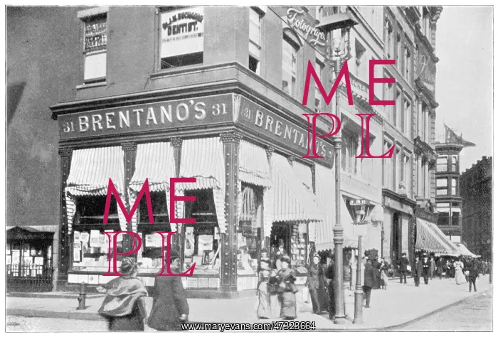 : SOCIAL / NY BRENTANO'S : SOCIAL / NY BRENTANO'S
