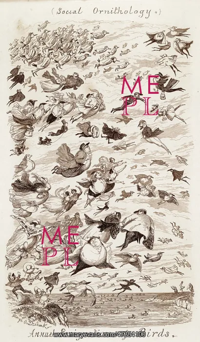 : SOCIAL ORNITHOLOGY : SOCIAL ORNITHOLOGY